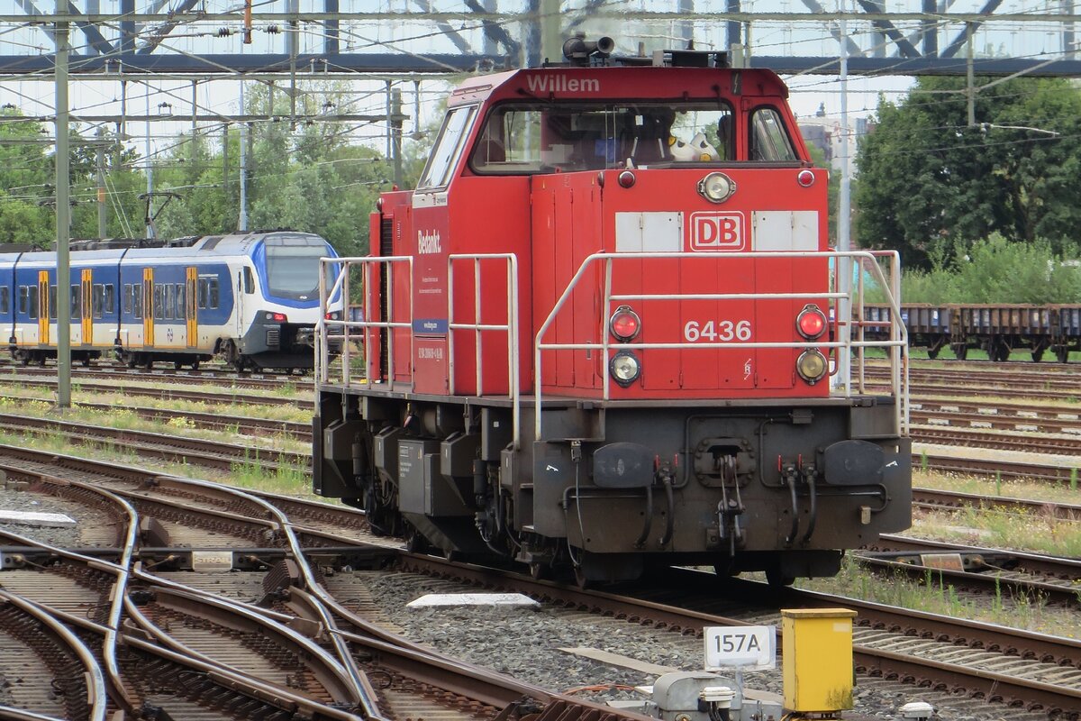 Willem, a.k.a. 6436 stands at Roosendaal on 14 July 2022.