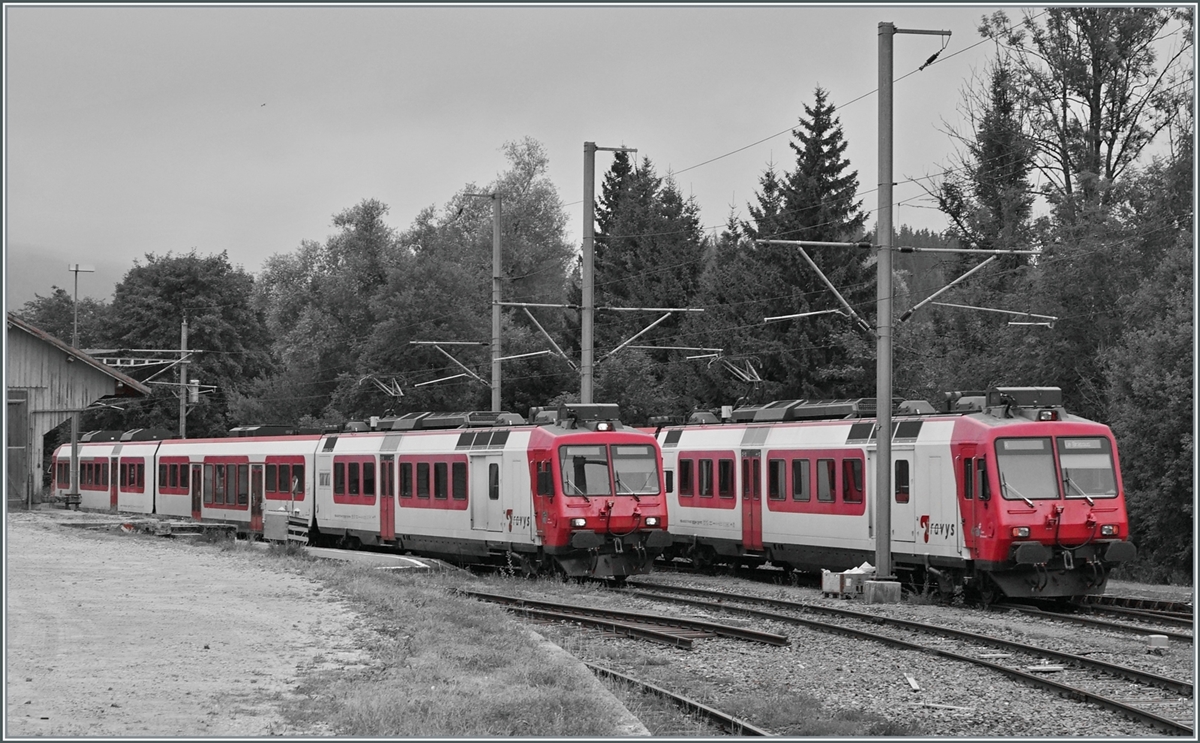 With the connection of the trains from Aigle to le Brassus, the TRAVAS trains will be replaced by SBB RABe 523 and 523.1 Flirts from the beginning of August. On one of the last days of operation of the TRAVYS RBDe 560, they cross each other in Le Pont.

06.08.2022