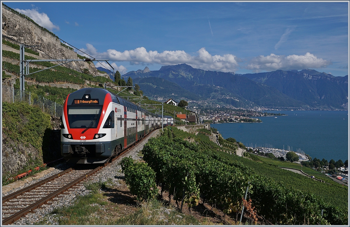 Works on the line: The Lausanne - Puidoux lines is closed an the Trains runs via Vevey. The SBB RABe 511 029 in the Lavaux Vineyards over St Saphorin on the way to Fribourg. 

2608.20218