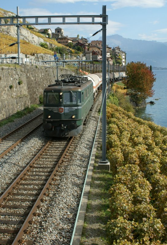 Ae 6/6 with a cargo train in the Wine yards on the Lake of Geneva
20.10.2008