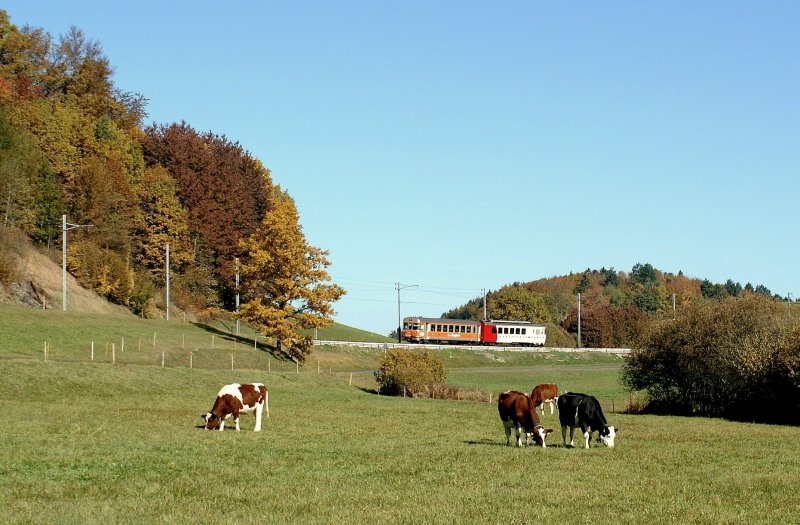 Cow and train in a beautiful landscape by Chatel St- Denis.
27.10.2009
