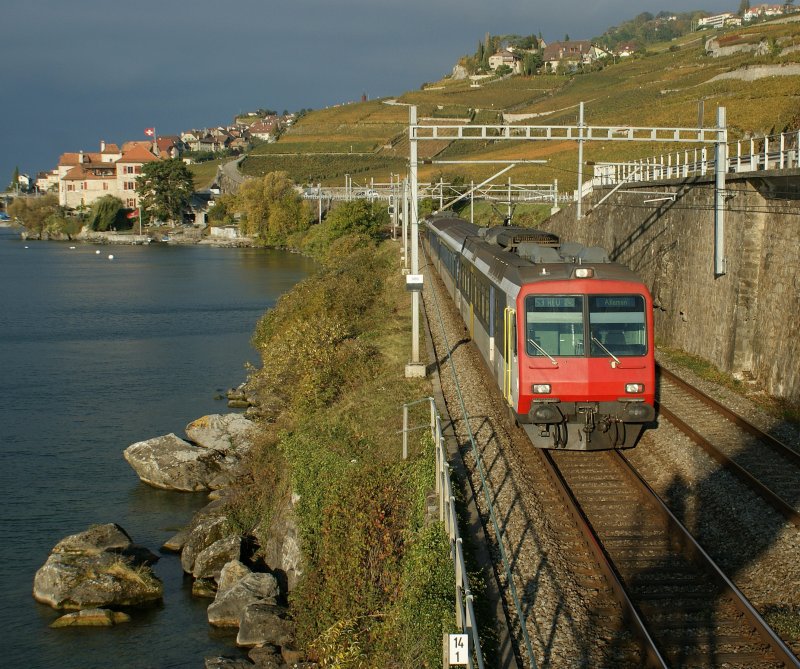 NPZ local Train by Rivaz.
20.10.2009