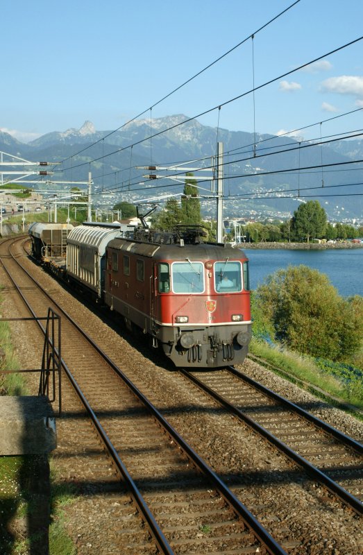 Re 4/4 II with a Cargo train between Vevey and St-Saphorin. 
04.08.2009