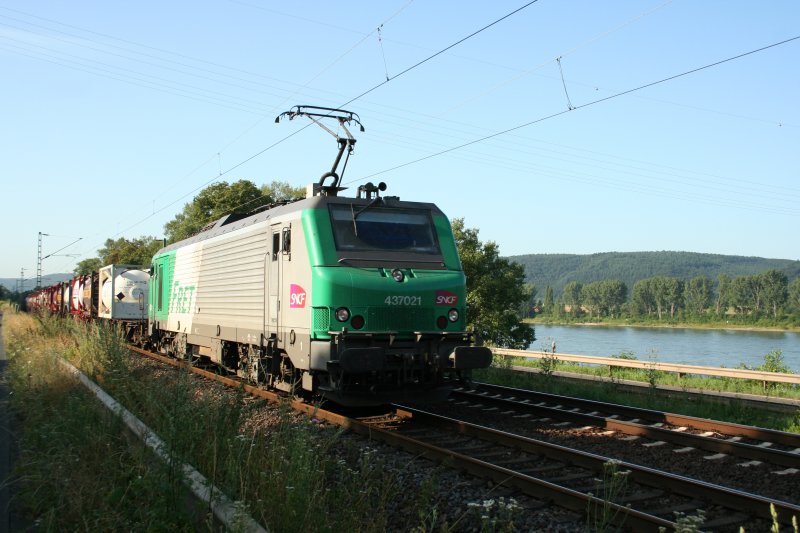 SNCF 437021 with fright train on the right side of the Rhein river on 16.7.2009 near Leubsdorf.
