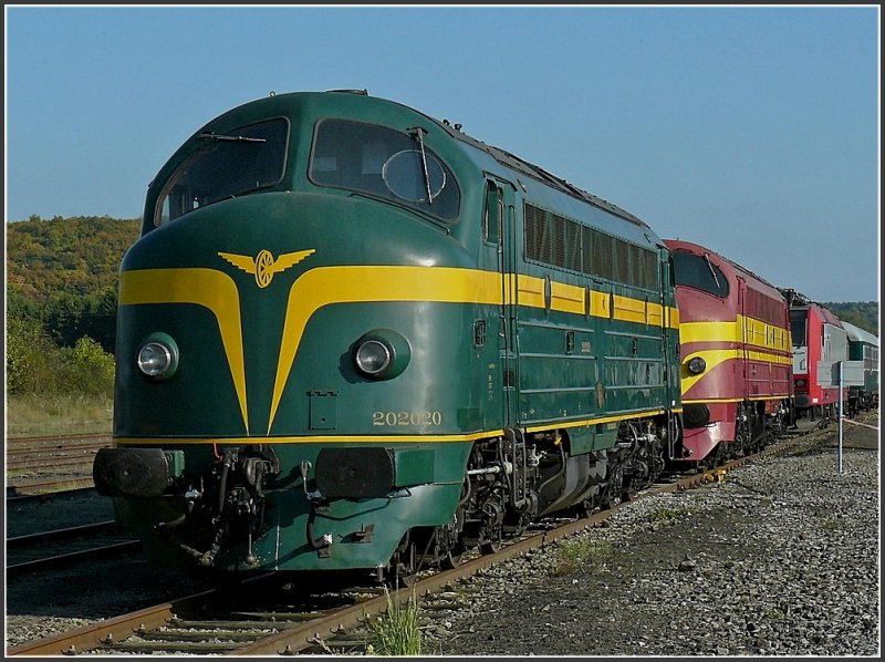 The NOHAB 202.020 (former CFL 1602) photographed at Mariembourg on September 27th, 2009. This engine was built in 1955 for the SNCB, but as the CFL badly needed Diesel locomotves at this time, it went with three sisters to Luxembourg. After 41 years of service there, it was owned by Mrklin for publicity purposes from 1996 until 1998. In 1998 it returned finally to Belgium, it was repainted by the PFT-TSP in the original SNCB coulours and got the number 202.020, which was destinated to it before its odyssey.