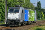 Lineas 186 295 Bombardier Traxx with Railpool livery. 19-05-2025