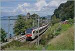 The SBB RABe 523 105 and an other one by the Castle of Chillon on the way to Aigle. 

30.07.2025