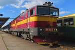 Frog's  view on 754 043 starting up at Jihlava with a fast train to Brno hl.n. on 29 May 2025.