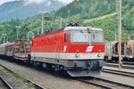 Mixed freight with 1044 063 passes Schwarzach Sankt-Veith on 29 May 2004.