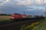 The class 1116 238 of the private railway company ITL is pulling a container train through the fields of Brunswick on 28th August 2009. 