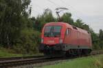 ÖBB 1116 051 rides solo through Kaarst-Broicherseite on 8 August 2025 and gets photographed from a public cycle path.