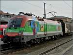 1116 007-4 is hauling a freight train trough the station of Passau on September 17th, 2010.