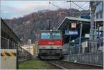 The ÖBB 1144 035 in Bregenz Hafen.