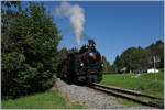 The BWB Uh 102 wiht his museumtrain near Schwarzenberg.