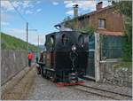 The steamer 200-90 Liesl at the Lustenau Rhein Schauen Station.