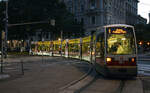 Vienna Lines - Wagon 663 at an evening photo am Schottenring in Vienna City.