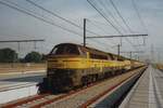 During a break in contruction works, NMBS 5302 stands with a row of decommissioned locos at Antwerpen-Luchtbal on 13 June 2006.