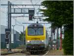 HLE 1338 is hauling a freight train through the station of Erquelinnes on June 12rd, 2012.