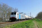 Lineas 186 502 Bombardier Traxx F140 MS2e with a freight train at Mortsel.