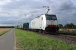 On 23 July 2025 Lineas 186 504 hauls a steel train near Kaarst-Broicherseite.