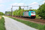 Locomotive 186 222 from Crossrail Belgium hauling a GTS container train between Zeebrugge and Aachen-West, is passing Hever on line 53.