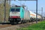 Lineas 186 215 Bombardier Traxx on his way to Antwerp Harbor.
