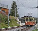 The BLM Be 4/4 31 'LISI' on the way to Mürren is leaving the Winteregg station. 

08.08.2024