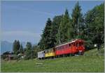 A small train on a big journey: The RhB Bernina Bahn ABe 4/4 I No. 35 of the Blonay-Chamby Railway is on the journey from Montreux to Rougemont shortly before Les Avants, with the Bernina Bahn As2 and the MOB B4 No. 61 (both also Blonay-Chamby) as th ...