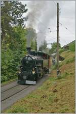 The BFD HG 3/4 3 by the Blonay-Chamby Railway by the station fo Chantemerle. 

08.09.2024
