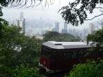 Hongkong - a contrast between green and gray.