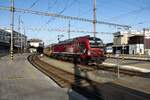 Dutch treat for RegioJet? Rail Force One is a Dutch freight operator that leased one of her Vectrons, in casu 193 627, to RegioJet that has expanded so fast, that they had to draft in any rentable loco -mostly Vectrons, andf that results in a nice va ...