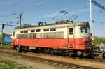 CD 242 230 stands in Ceske Budejovice on 7 May 2011.