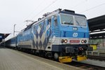 Frog's  view on 362 039 at Bohumin on 4 May 2016.