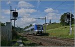 The SNCF Z 82704 from Chambèry to Geneva (TER 96608) by Russin.