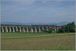 A SNCF Coradia Polyvalent al B 83500 is the TER 830412 from Mulhouse to Belfort of the 490 meter long Viaduc of Dannemaire (builed 1860-62) by Dannemaire.