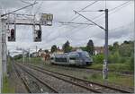The SNCF X 73756 departs from its originating station Delle as a TER to Belfort. Unlike the previous picture, this image also shows some of the infrastructure of Delle station, such as the signals and the track layout towards Belfort.  


May 20, 2026