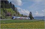 The SNCF X 76713/714 on the way from Besançon to La Chaux-de-Fonds by Pont de la Roche.