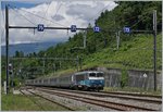 The SNCF BB 22 394 wiht a TER from Lyon to Geneva in La Plaine.