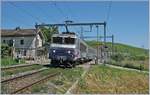 The SNCF BB 22360 run non stop wiht a TER to Lyon trough the Russin Station.