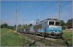 The SNCF BB 22360 with his TER from Lyon to Geneva between Russin and Satigny.

02.08.2021