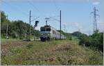 The SNCF BB 22355 with a TER from Geneva to Lyon between La Plaine and Pougny Chancy.