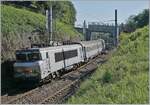 The SNCF BB 22353 wiht his TER from Lyon to Geneva between Pogny-Chancy and La Plaine.