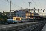 The SNCF BB 22393 with his TER from Lyon in Geneva. 

06.09.2021