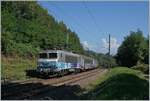 The SNCF BB 22391 wiht his TER on the way from Lyon to Geneva between Pougny Chancy and La Plaine.