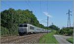 The SNCF BB 22260 with his TER from Lyon to Geneve by Pougny. 

16.08.2021