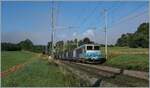 The SNCF BB 22360 with his TER on the way to Geneva by Satigny.