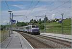 The SNCF BB 22396 wiht his TER to Geneva in Russin.