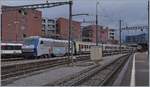 The SNCF BB 26 147 in Basel SBB.