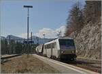 The SNCF BB 26061 wiht his Cargotrain is arriving at the Vallorbe Station. 

24.03.2022