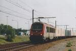 When Astrides strode on Belgian territority: on 13 June 2006 SNCF 36004 hauls a container train from Somain through Antwerpen-Luchtbal, where the photographer awaits this interloper from the platform.